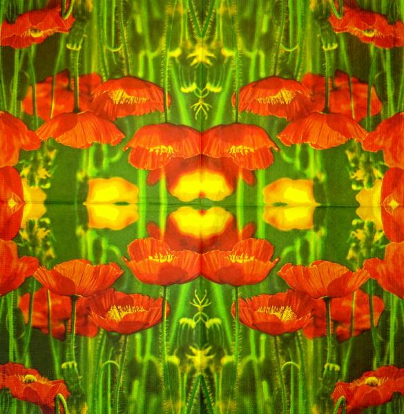 193 Anemones, Poppy - 3-ply - Eva Logell